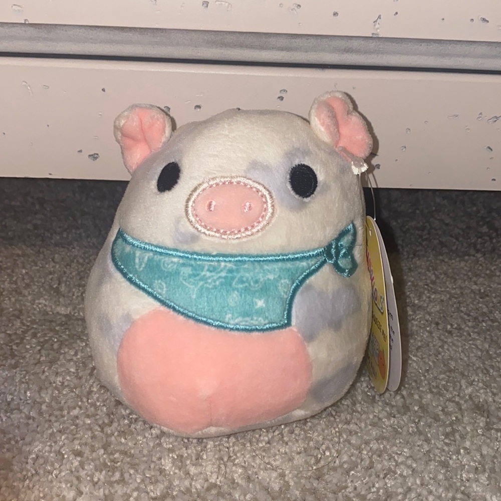 SUPER RARE “ROSIE” squish mallow in mini